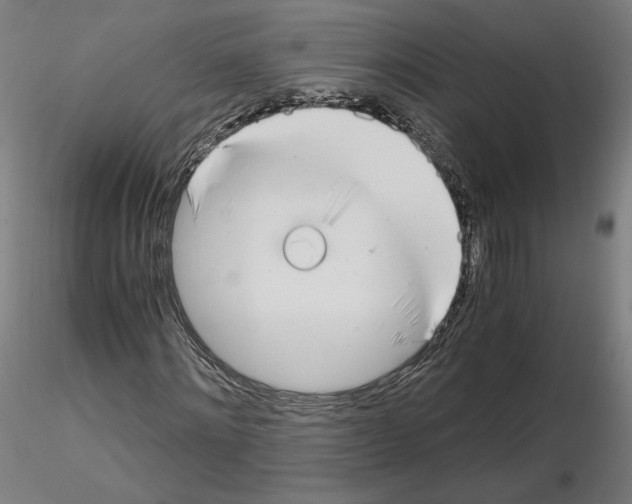 X0000115480868200912181207