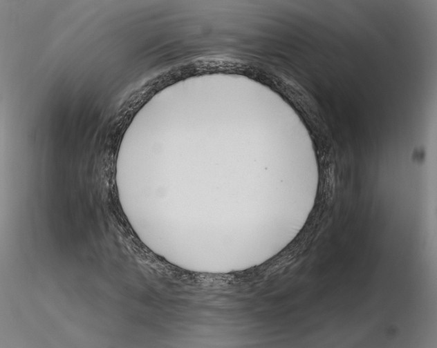 X0000115480870200912181207