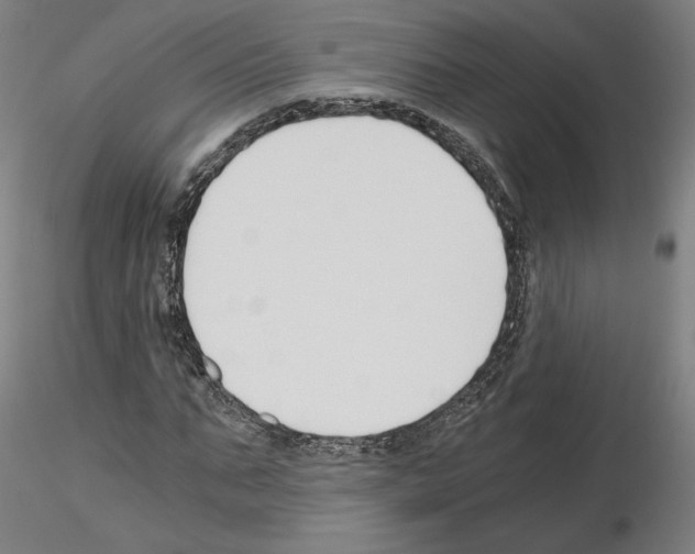 X0000115480871200912181207