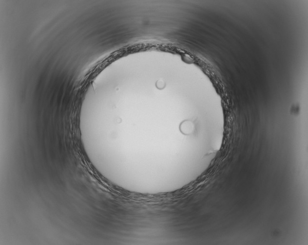 X0000115480872200912181207