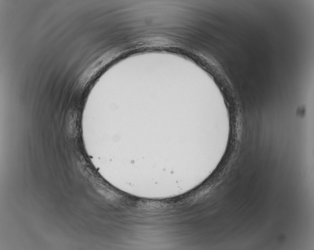 X0000115480873200912181207