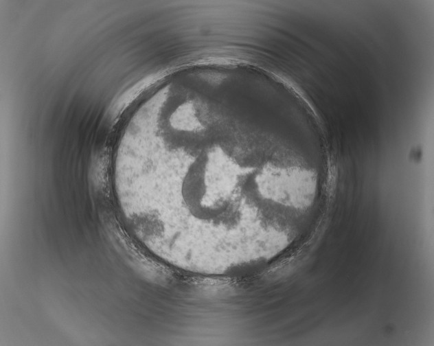 X0000115480874200912181207