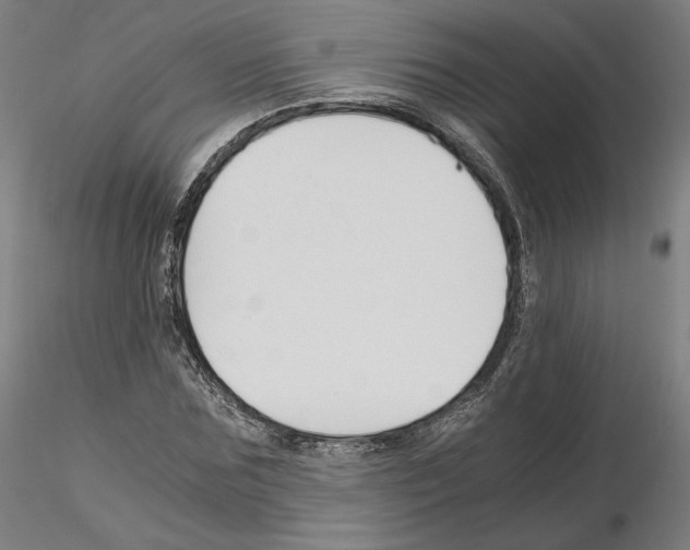 X0000115480875200912181207