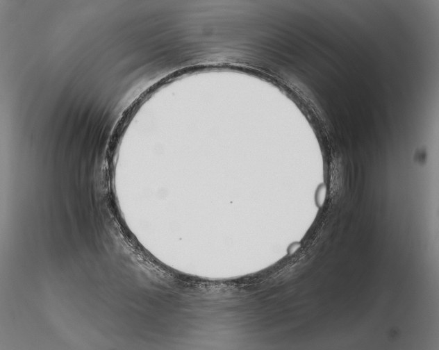 X0000115480876200912181206
