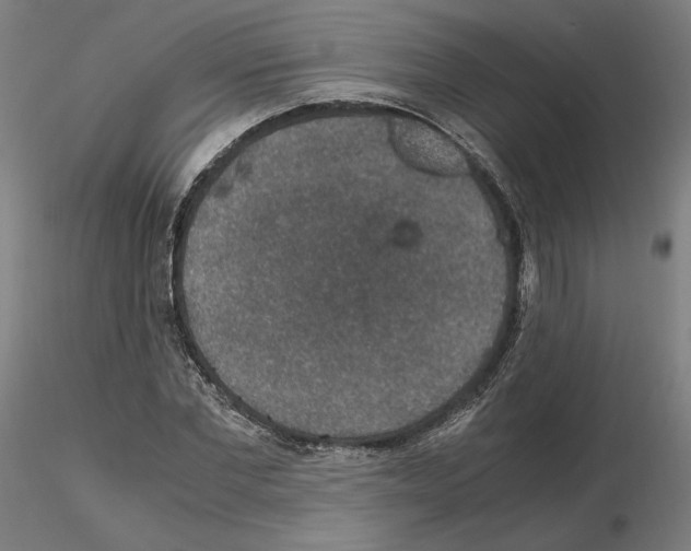 X0000115480877200912181206