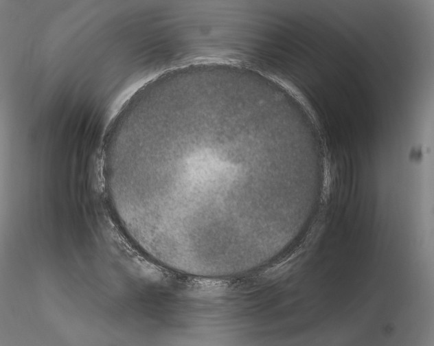 X0000115480878200912181206