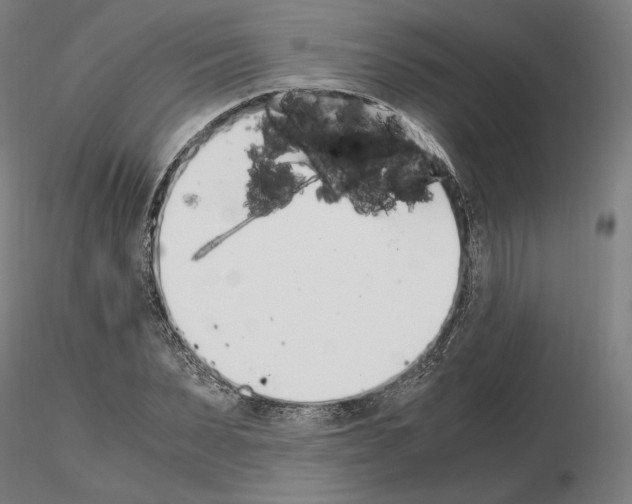 X0000115480879200912181206
