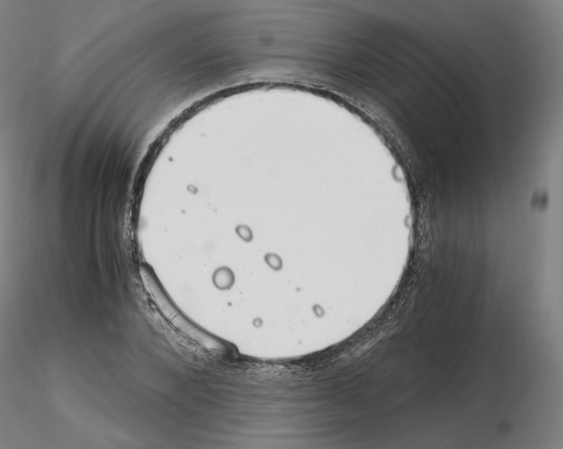 X0000115480880200912181206