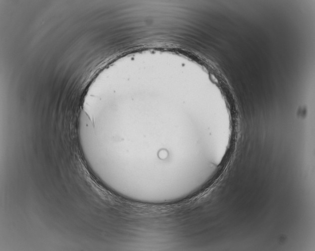 X0000115480881200912181206