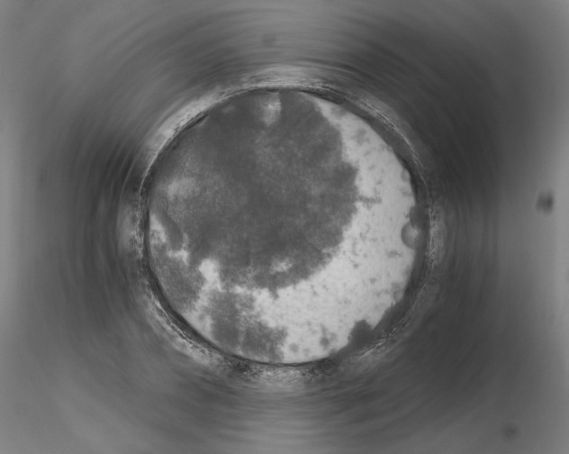 X0000115480882200912181206