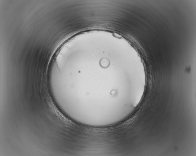 X0000115480884200912181206