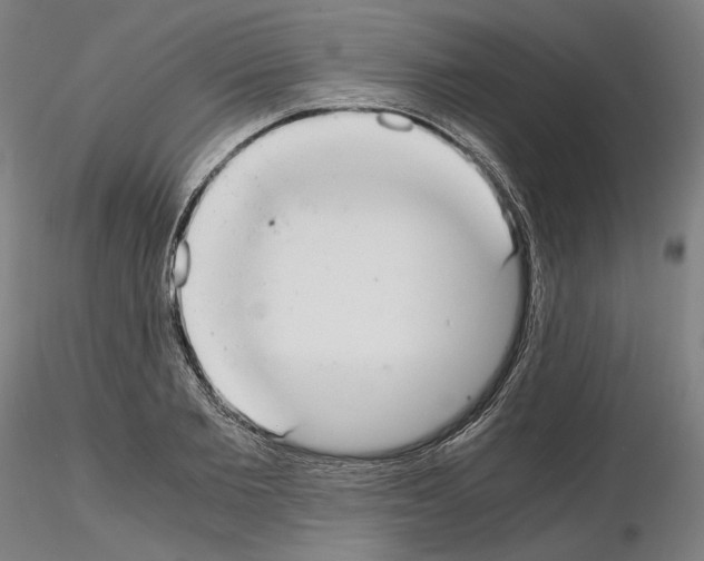 X0000115480885200912181206