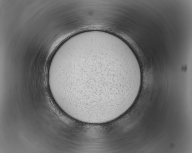 X0000115480886200912181206