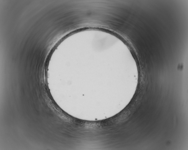 X0000115480887200912181206