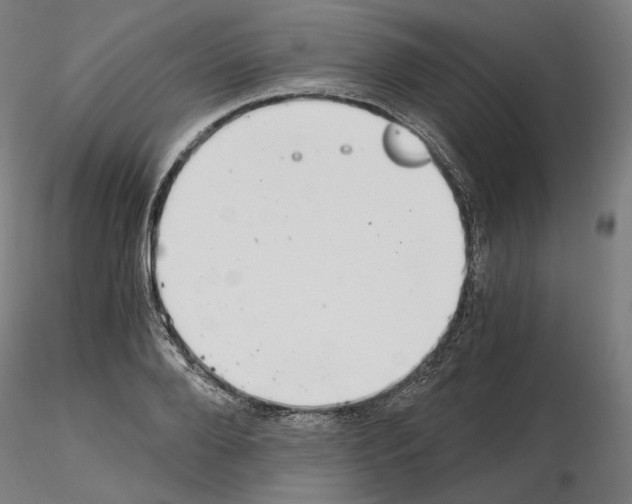 X0000115480888200912181206