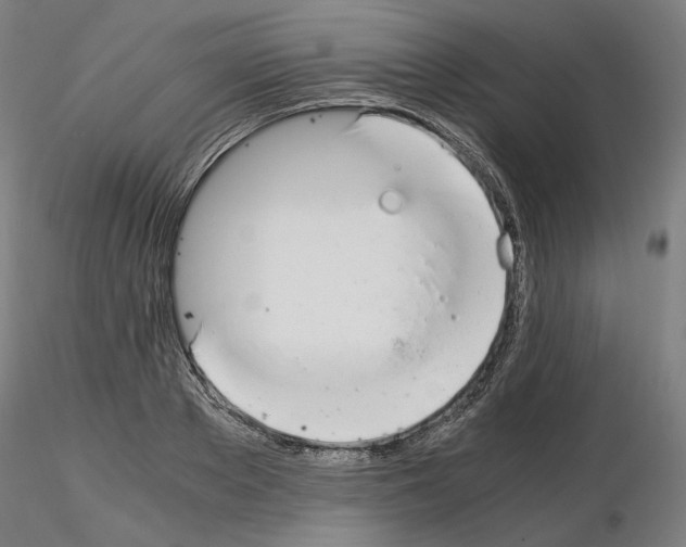 X0000115480889200912181206