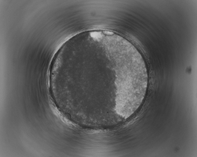 X0000115480892200912181206
