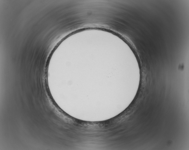 X0000115480895200912181206