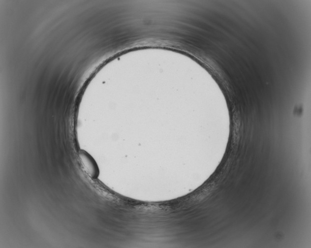 X0000115480896200912181206