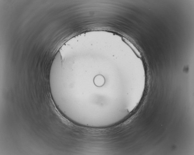 X0000115480897200912181206
