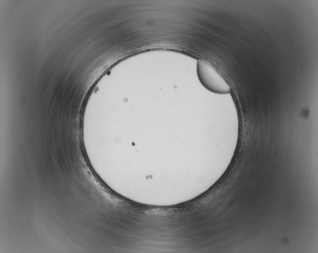 X0000115480898200912181206