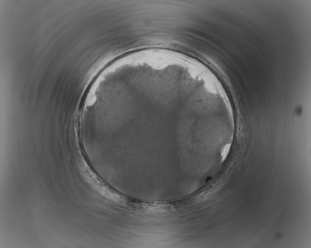 X0000115480899200912181206