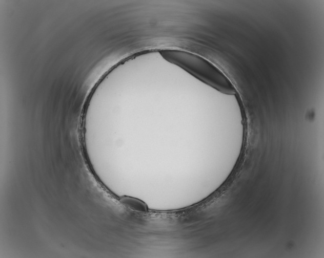X0000115480901200912181206