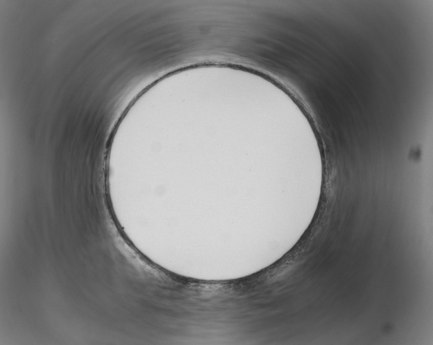 X0000115480903200912181206