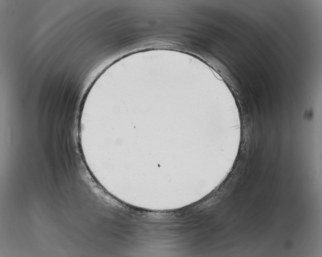 X0000115480904200912181206