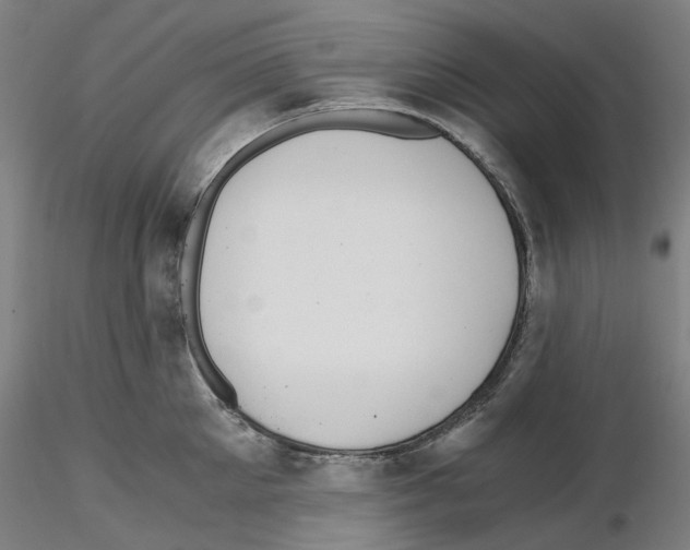 X0000115480905200912181206