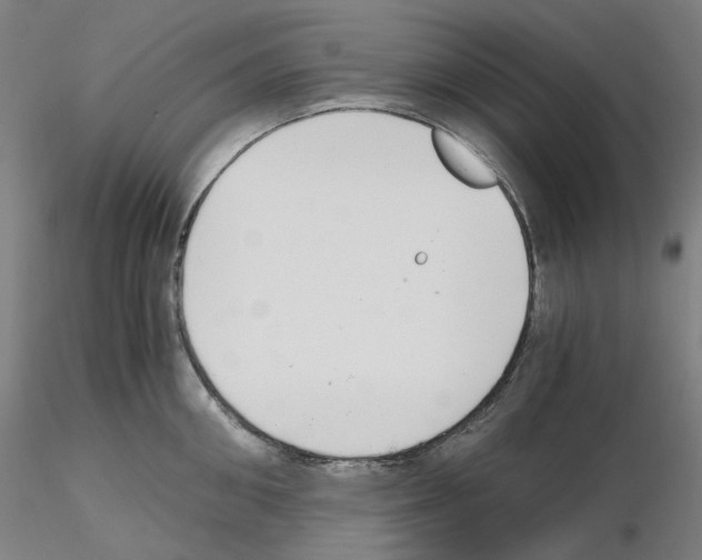 X0000115480906200912181206