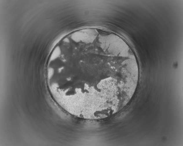 X0000115480907200912181206