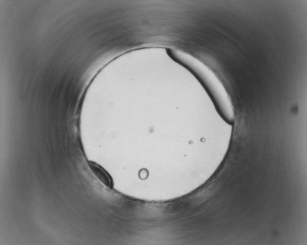 X0000115480908200912181206