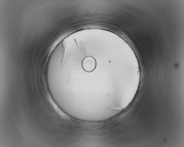 X0000115480909200912181206
