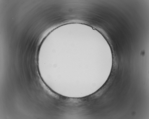 X0000115480910200912181206