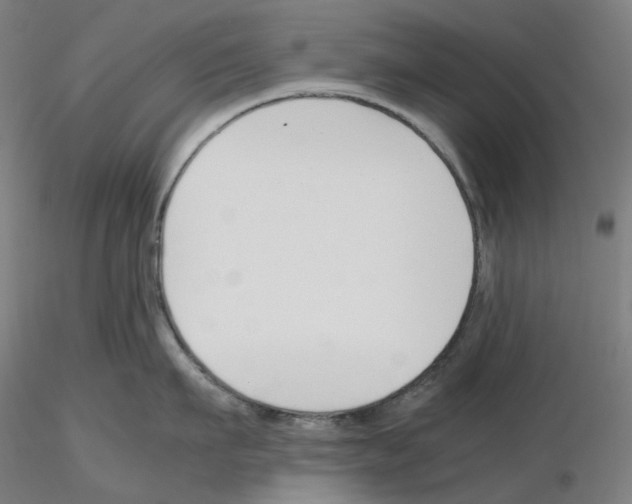 X0000115480911200912181206