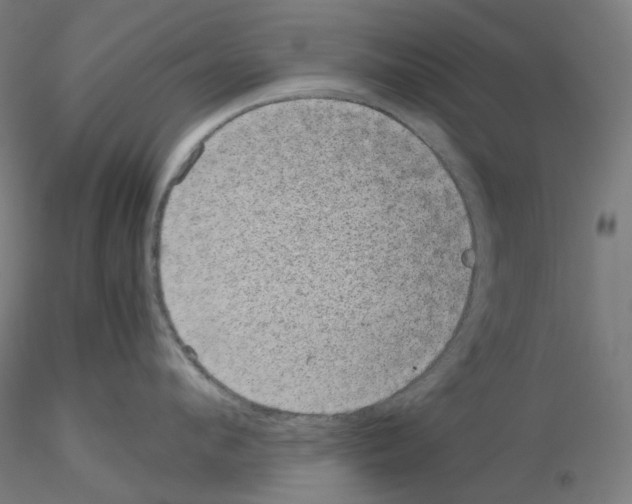 X0000115480912200912181206