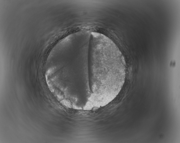 X0000115480913200912181205