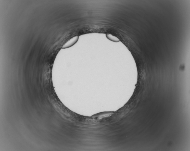 X0000115480914200912181205