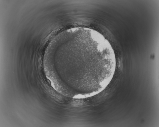X0000115480915200912181205
