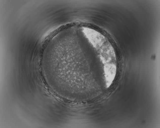 X0000115480919200912181205