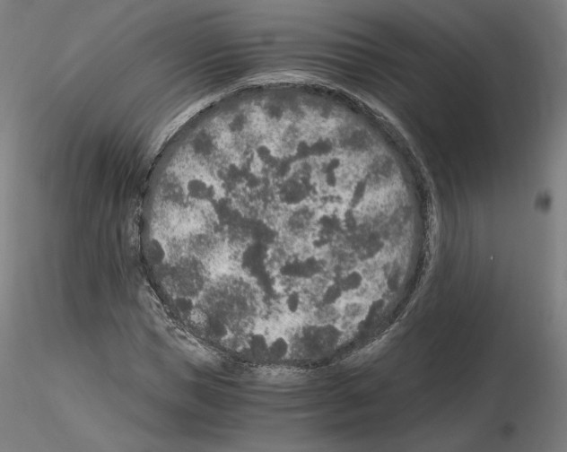 X0000115480921200912181205