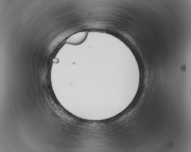X0000115480922200912181205