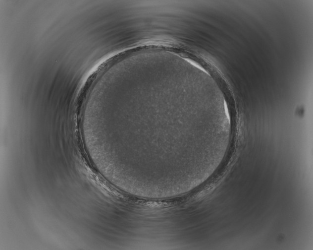 X0000115480923200912181205