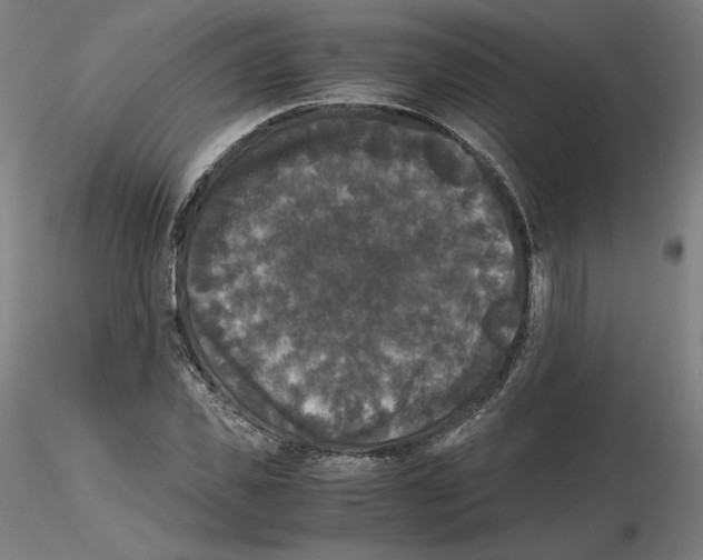 X0000115480925200912181205