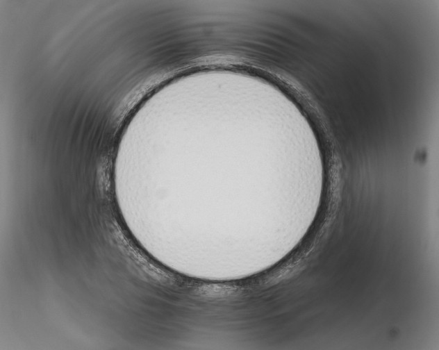X0000115480929200912181206