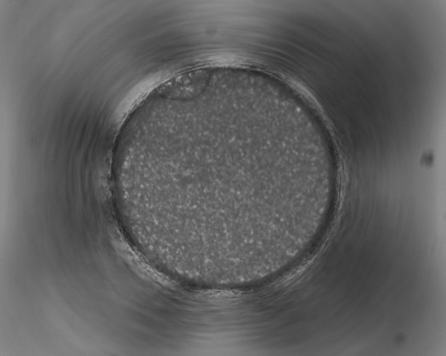 X0000115480930200912181206