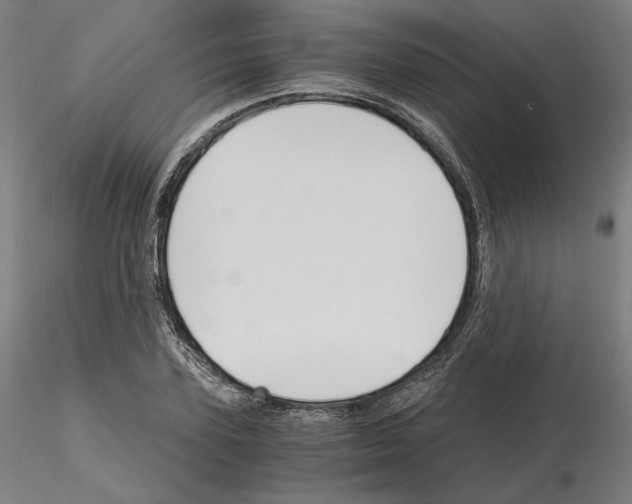 X0000115480931200912181206