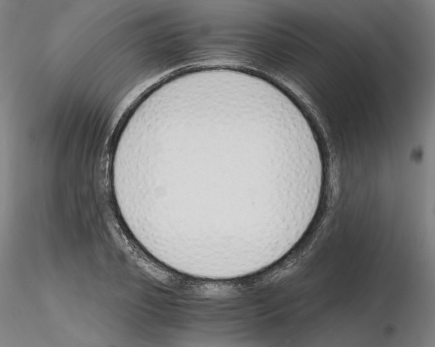 X0000115480933200912181206