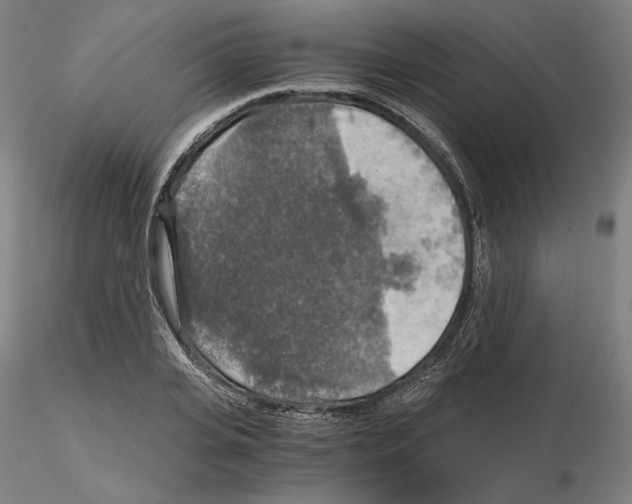 X0000115480935200912181206